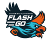Flash Go Logo